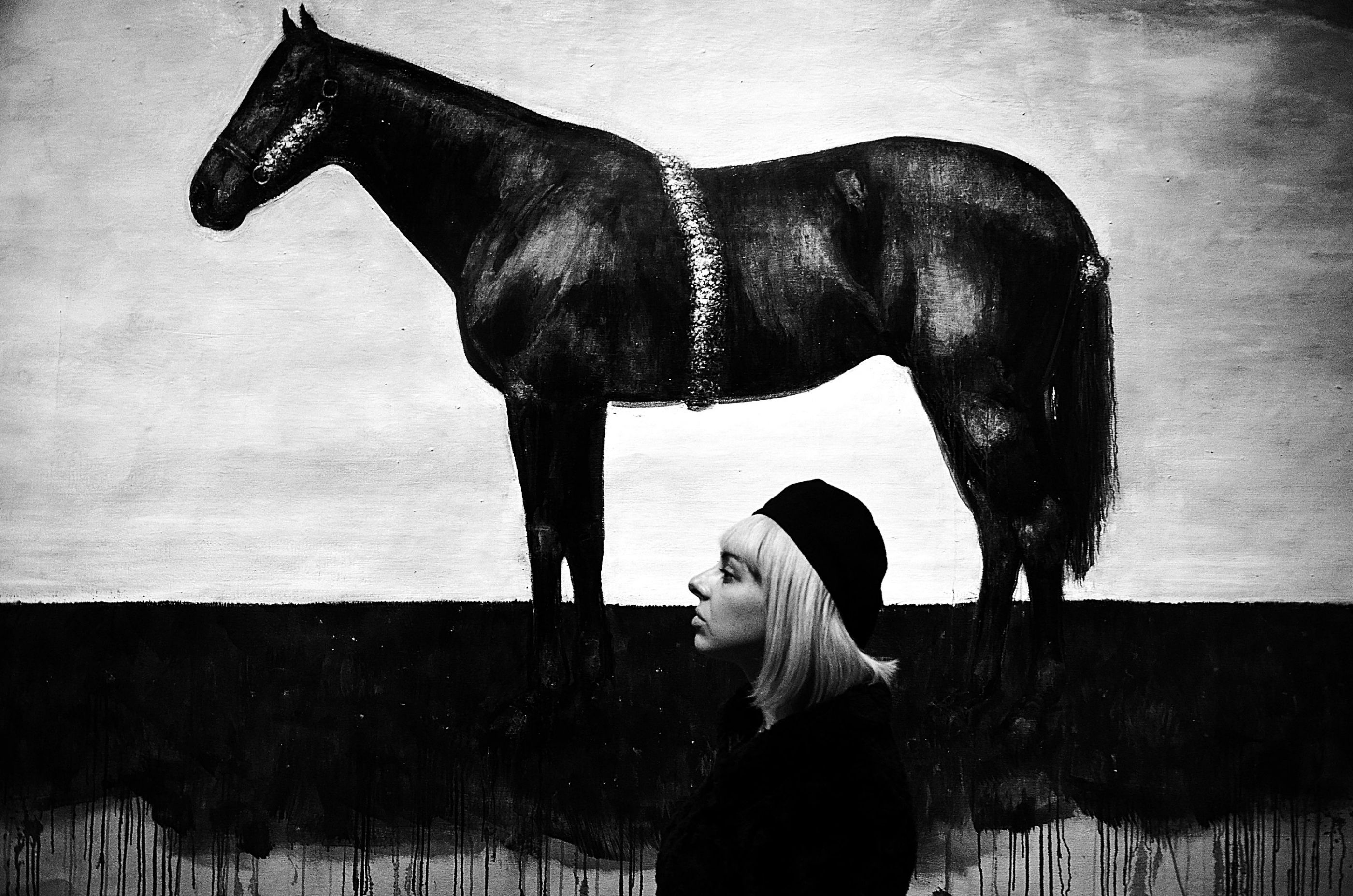 Dream about black horse