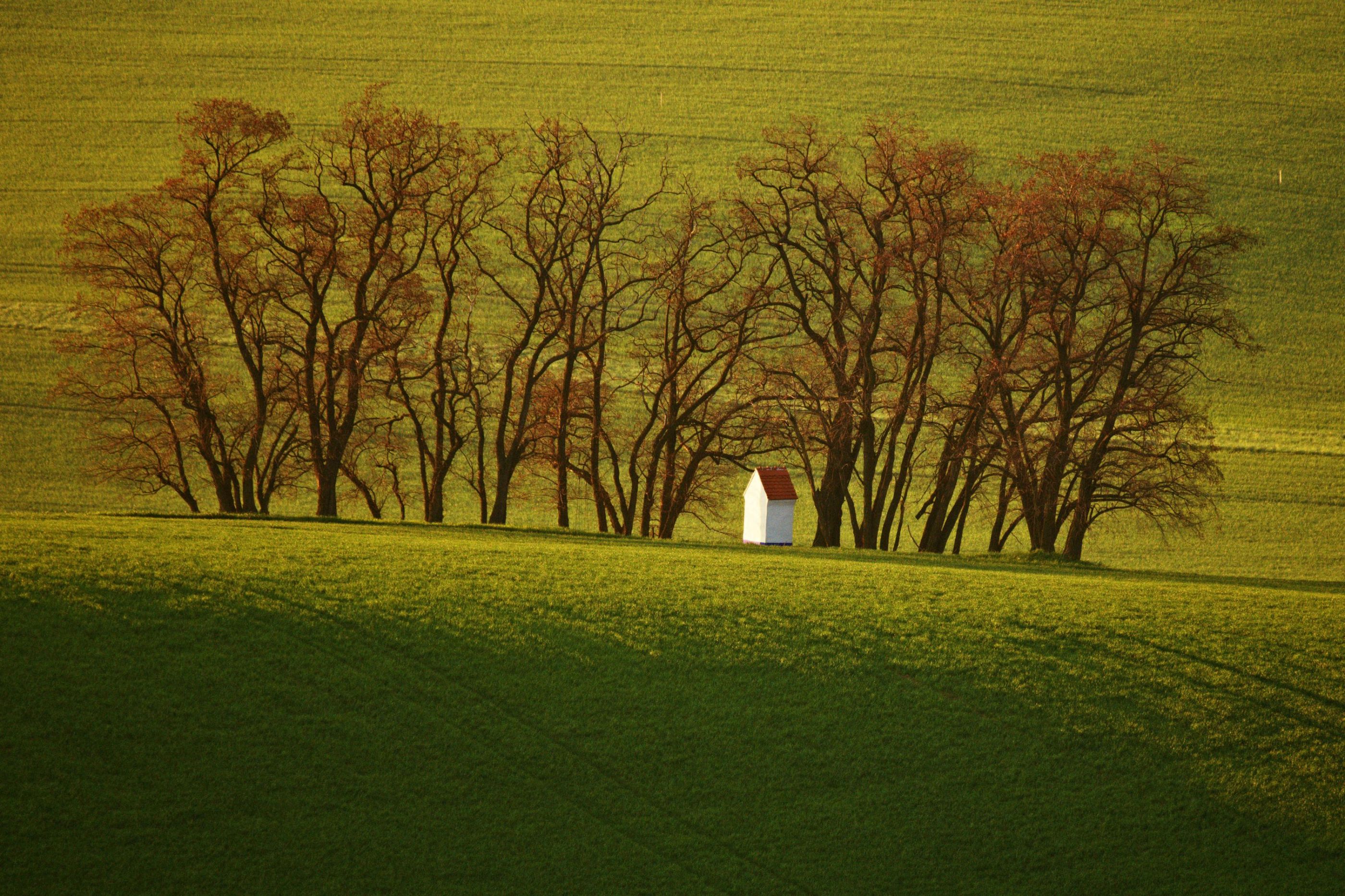 Svatá Barborka.