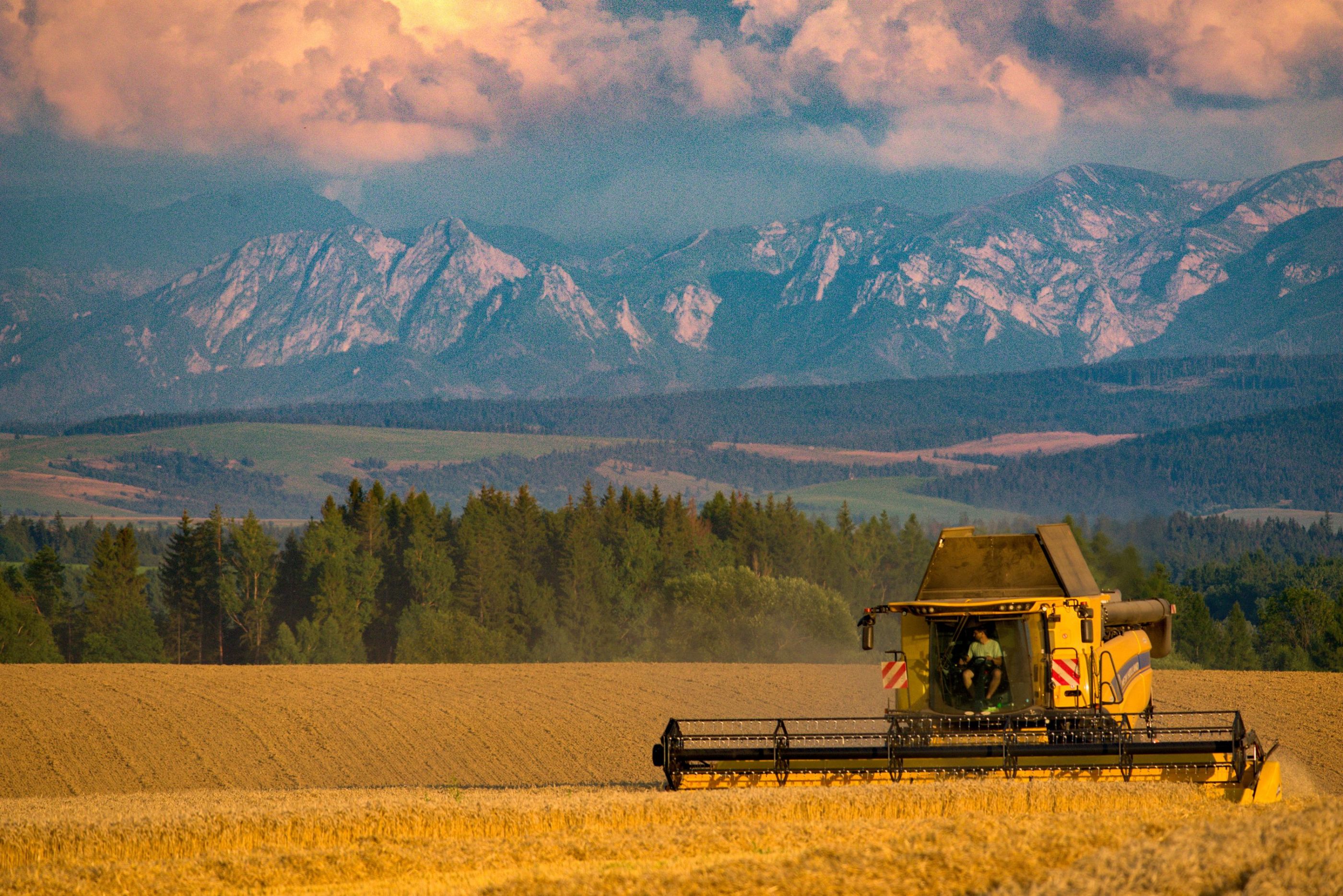 Harvest