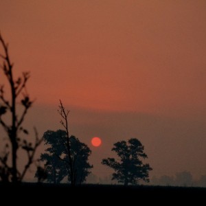 Atardecer en Arrecifes