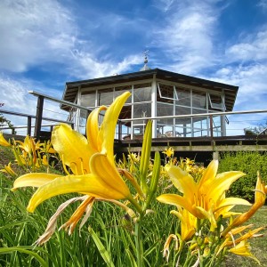 Flower and Glass