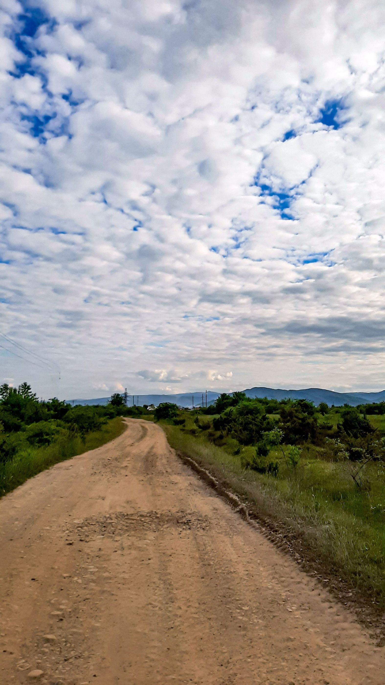 Літо в Карпатах