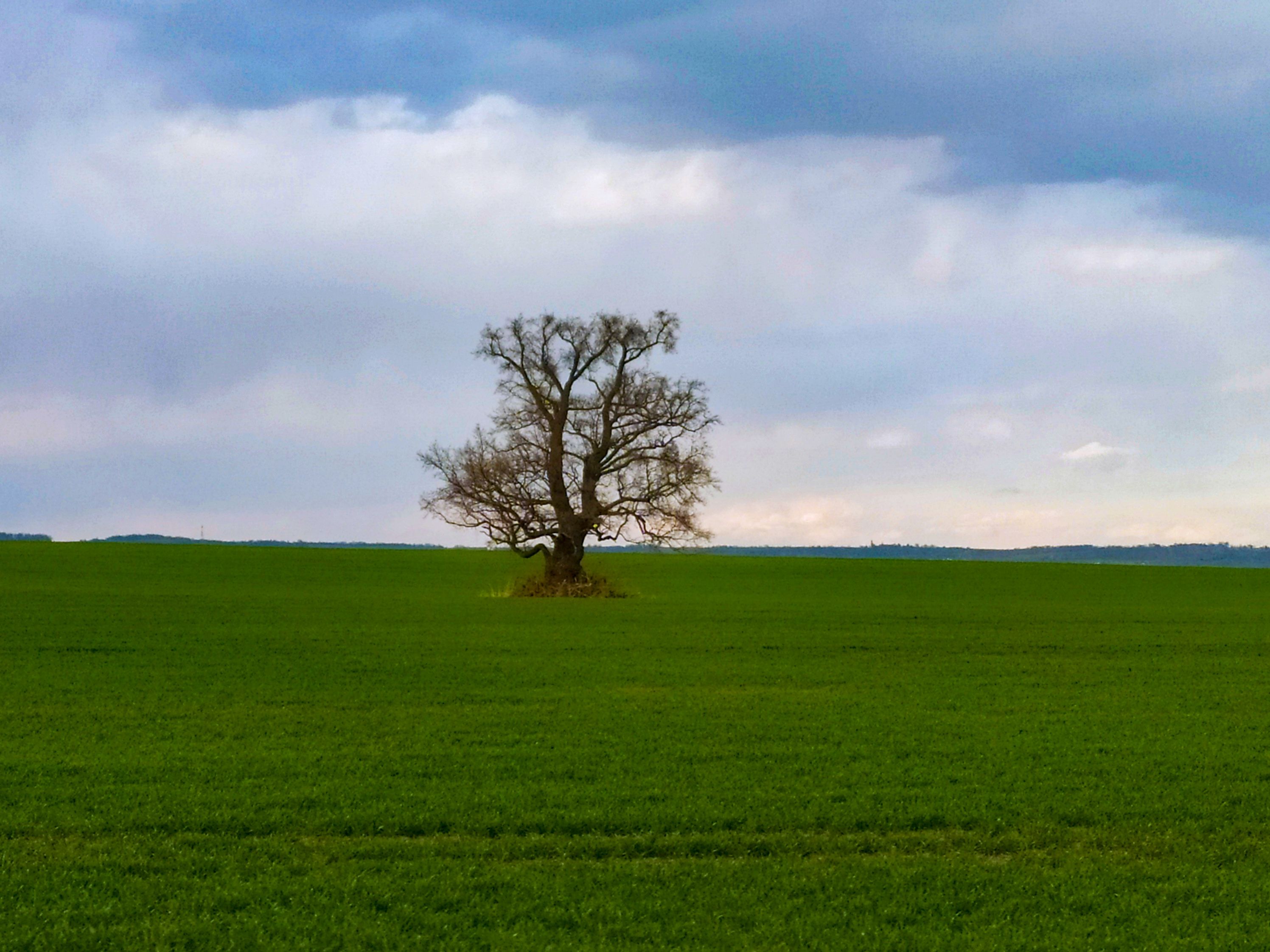 Život 💚