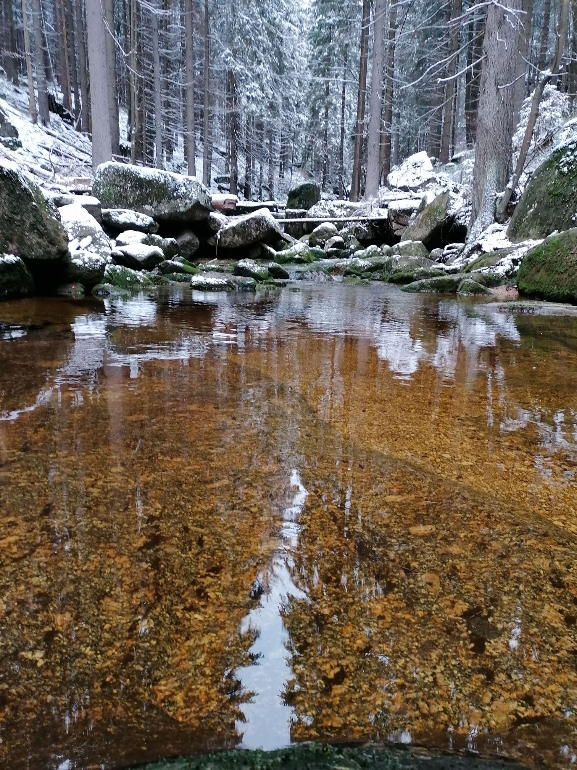 Jak přichází zima