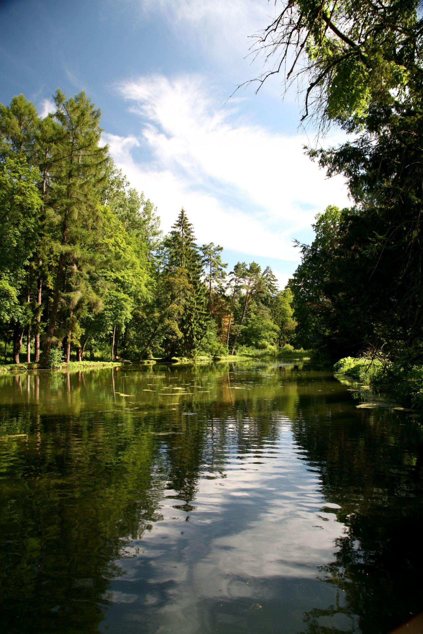 jazierko v parku v Turčianskej Štiavničke