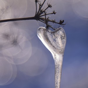 Ice heart