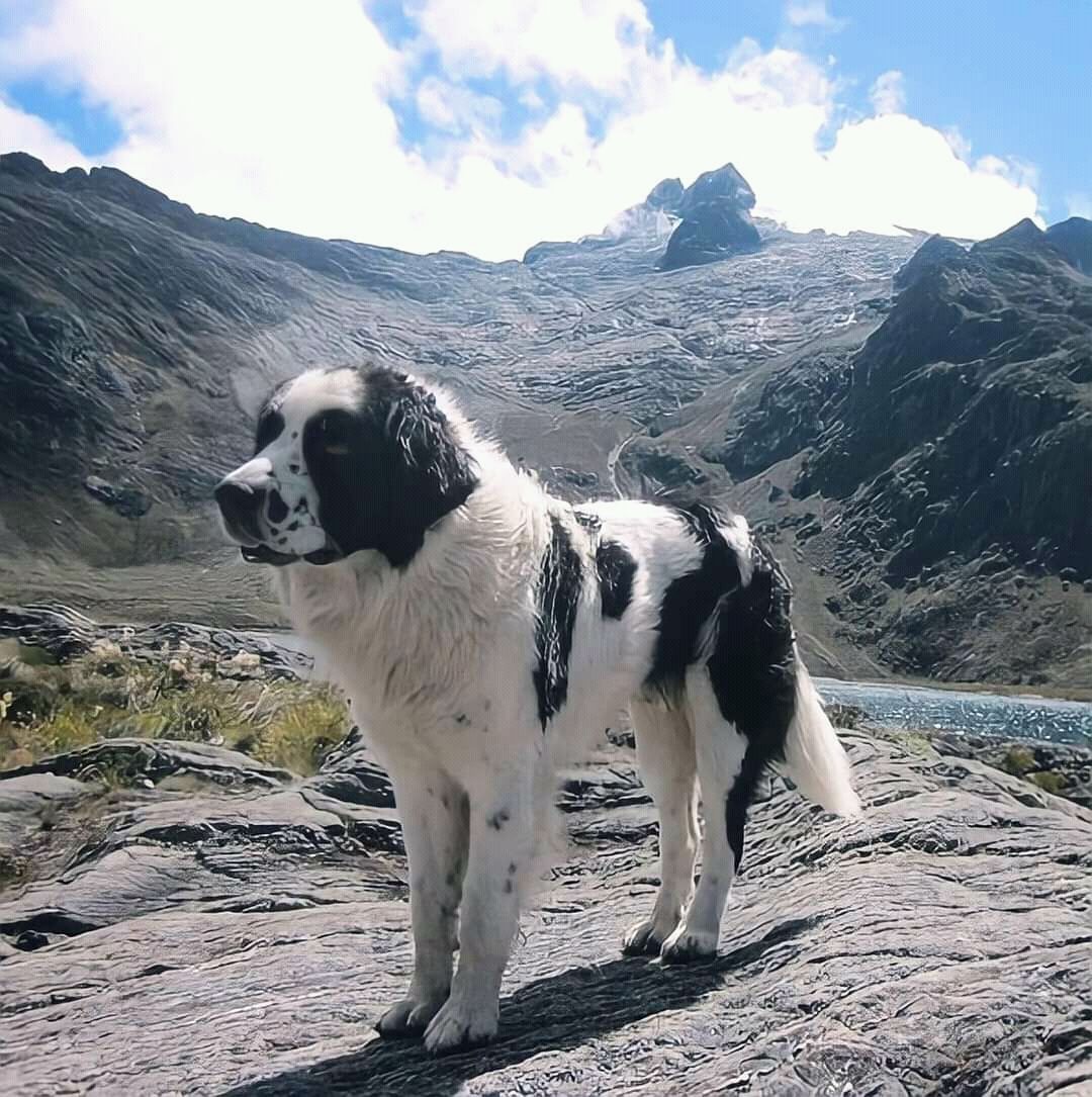 Merida/Venezuela