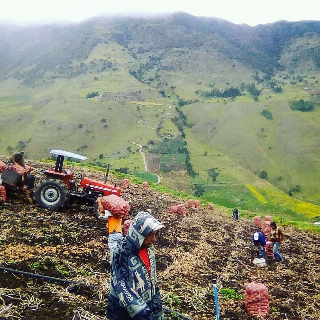 Trujillo/Venezuela