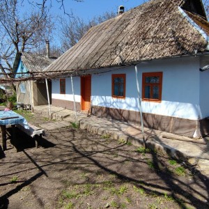 Дом в селе