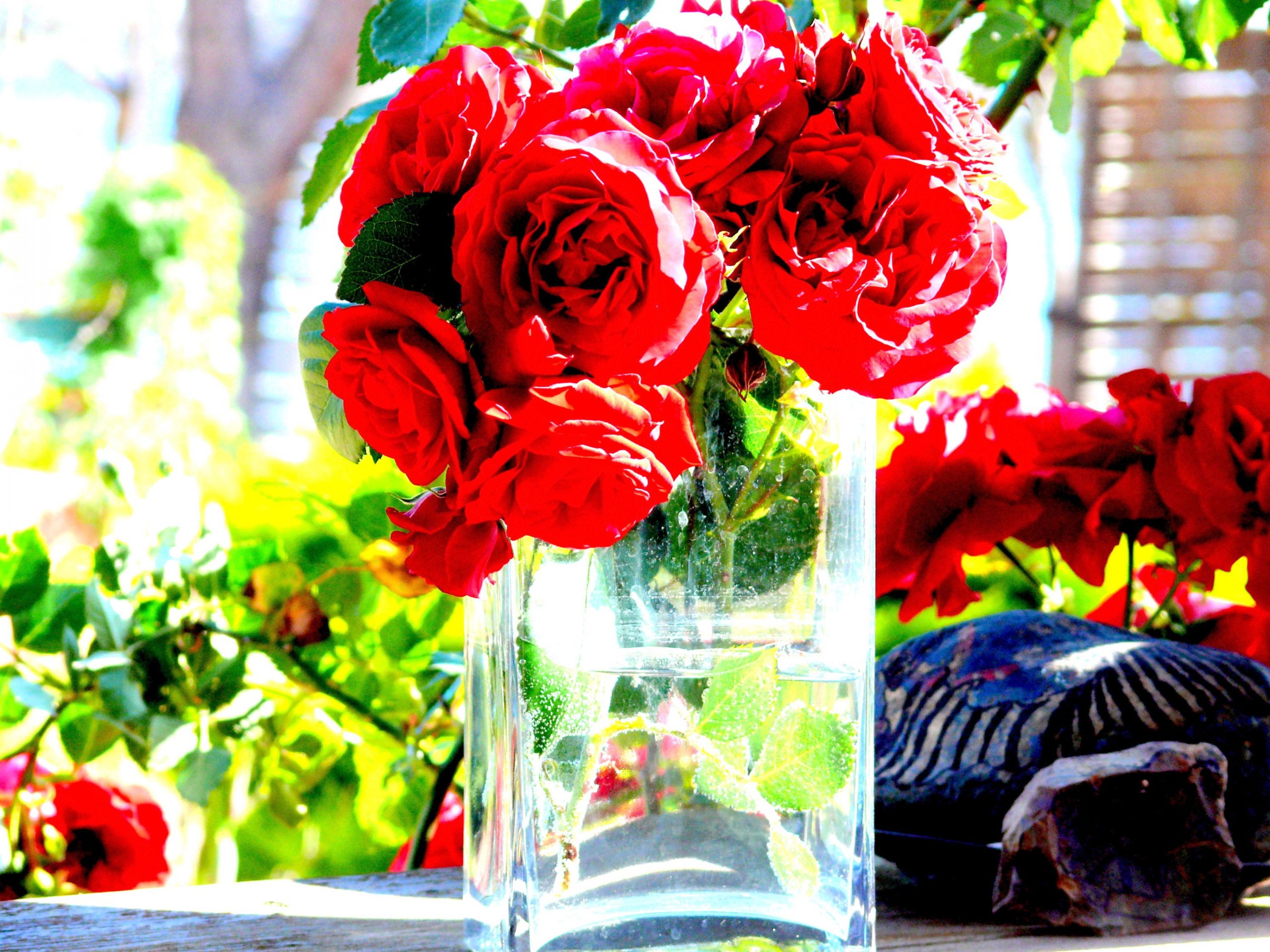 Red Roses