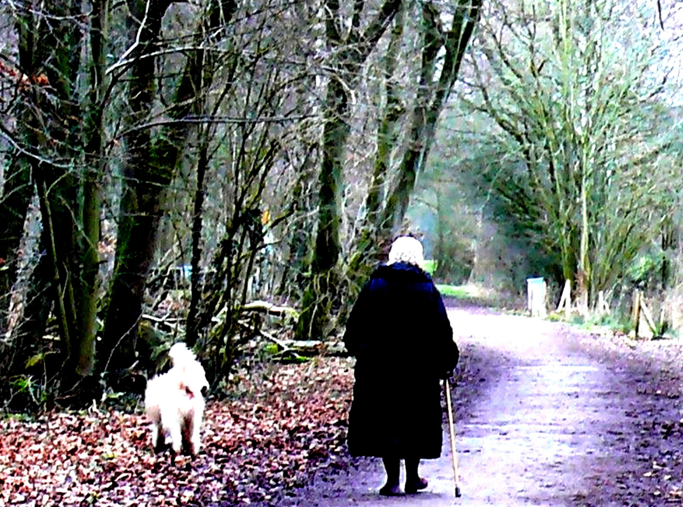 Lady and her dog