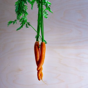Karottenehe