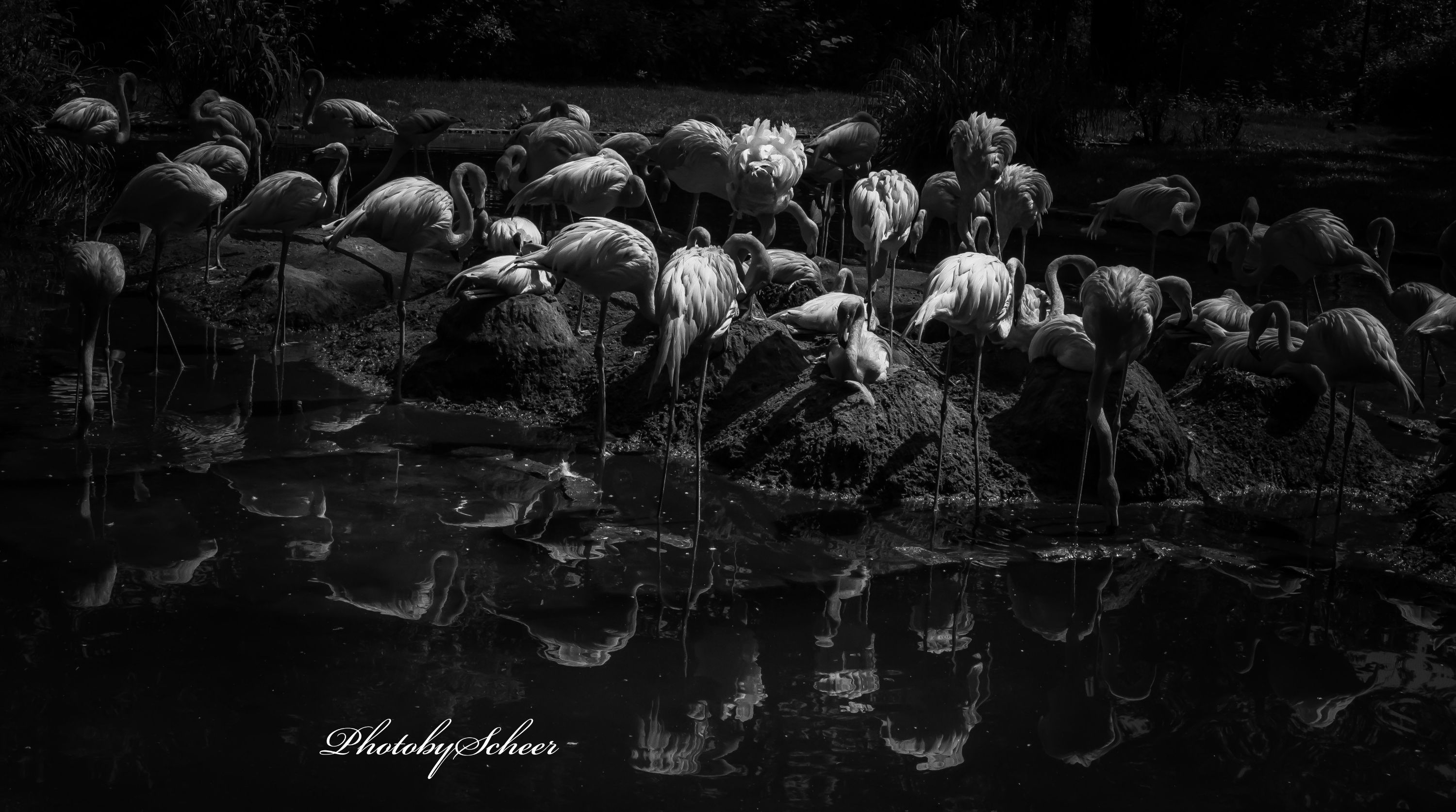 Tierpark Cottbus