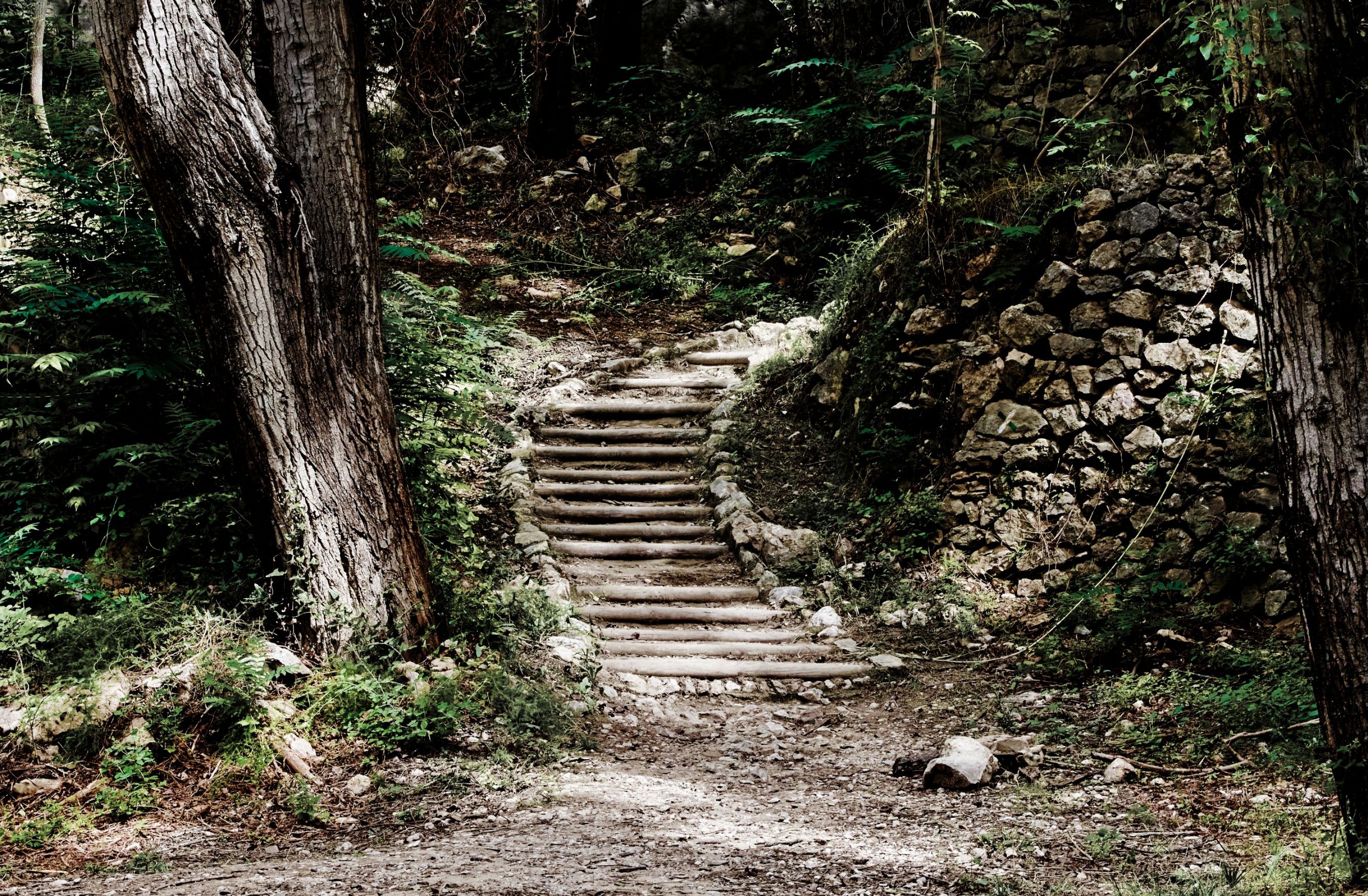 Las escaleras del camino