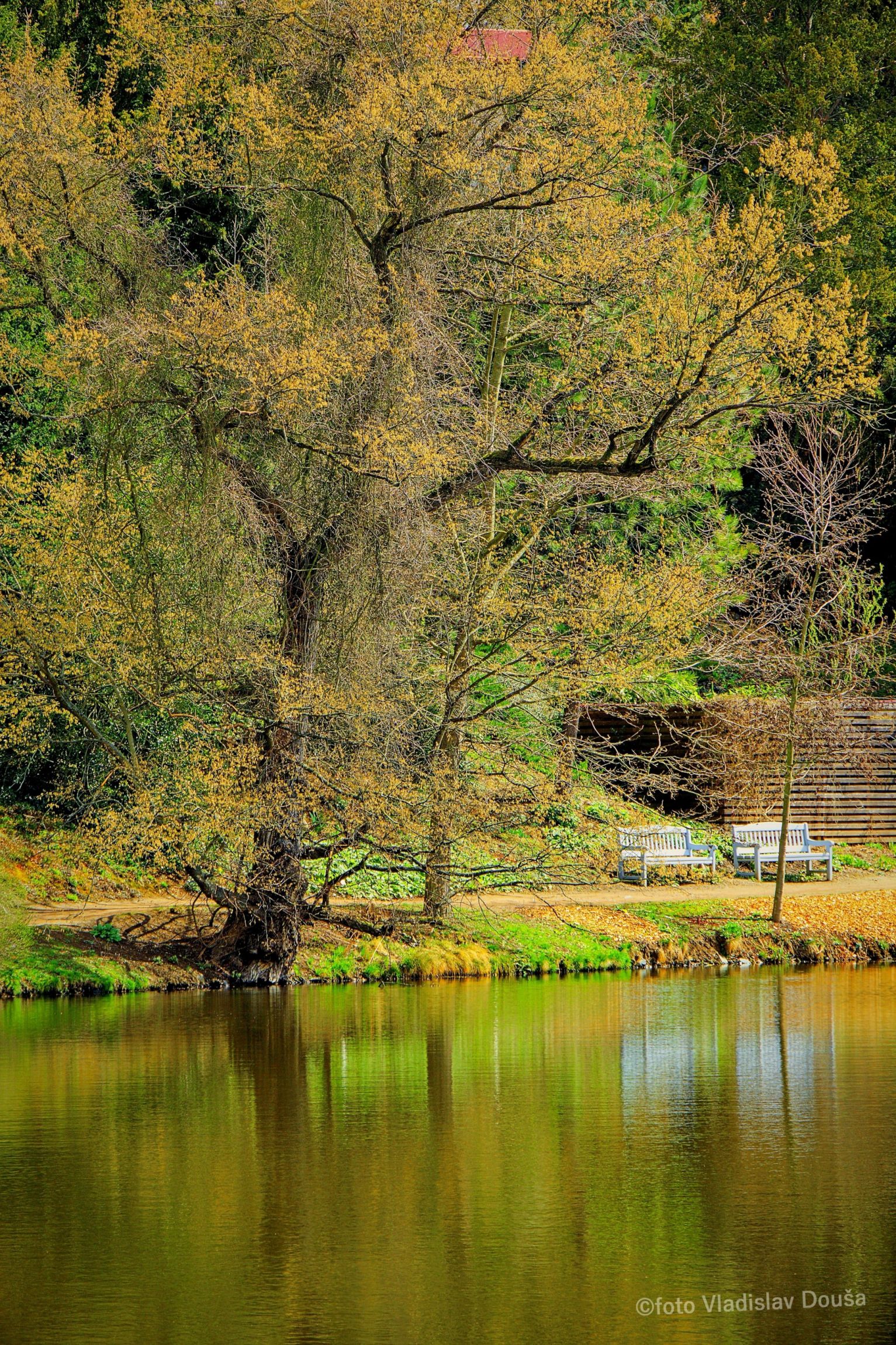 Zámecký park Průhonice