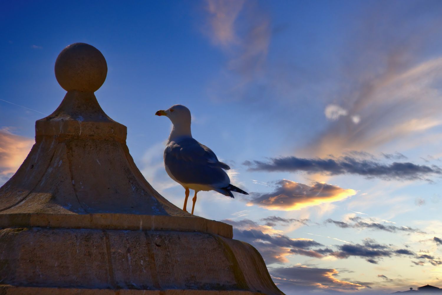 Winged watch guard on watchtower