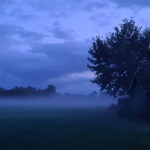 Feld im Nebel bei Nacht