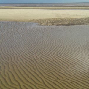 Sand and sea.