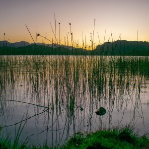 Mágico Atardecer