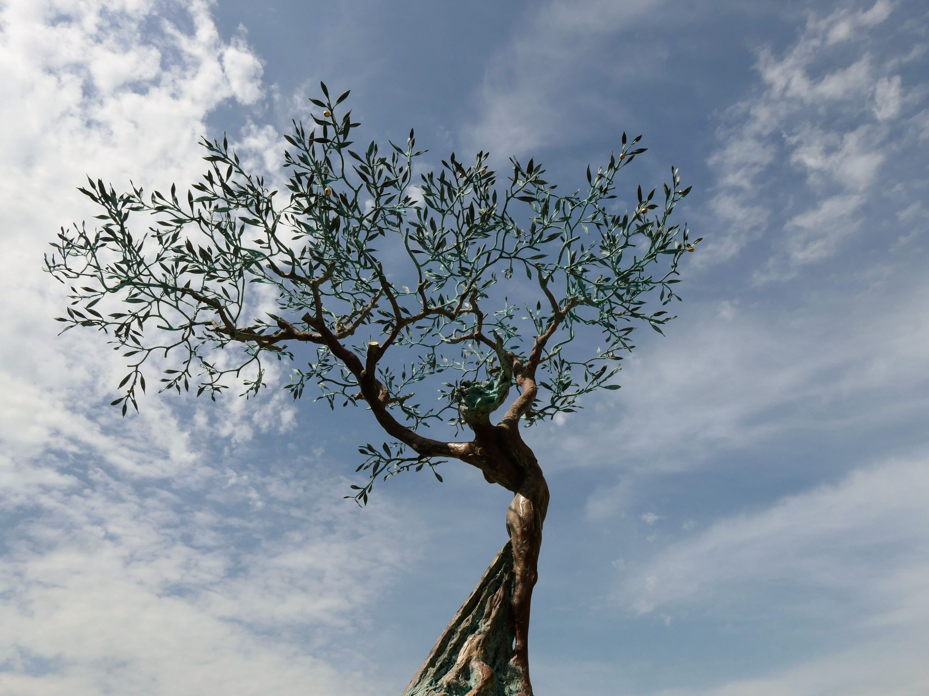 L'arbre de vie