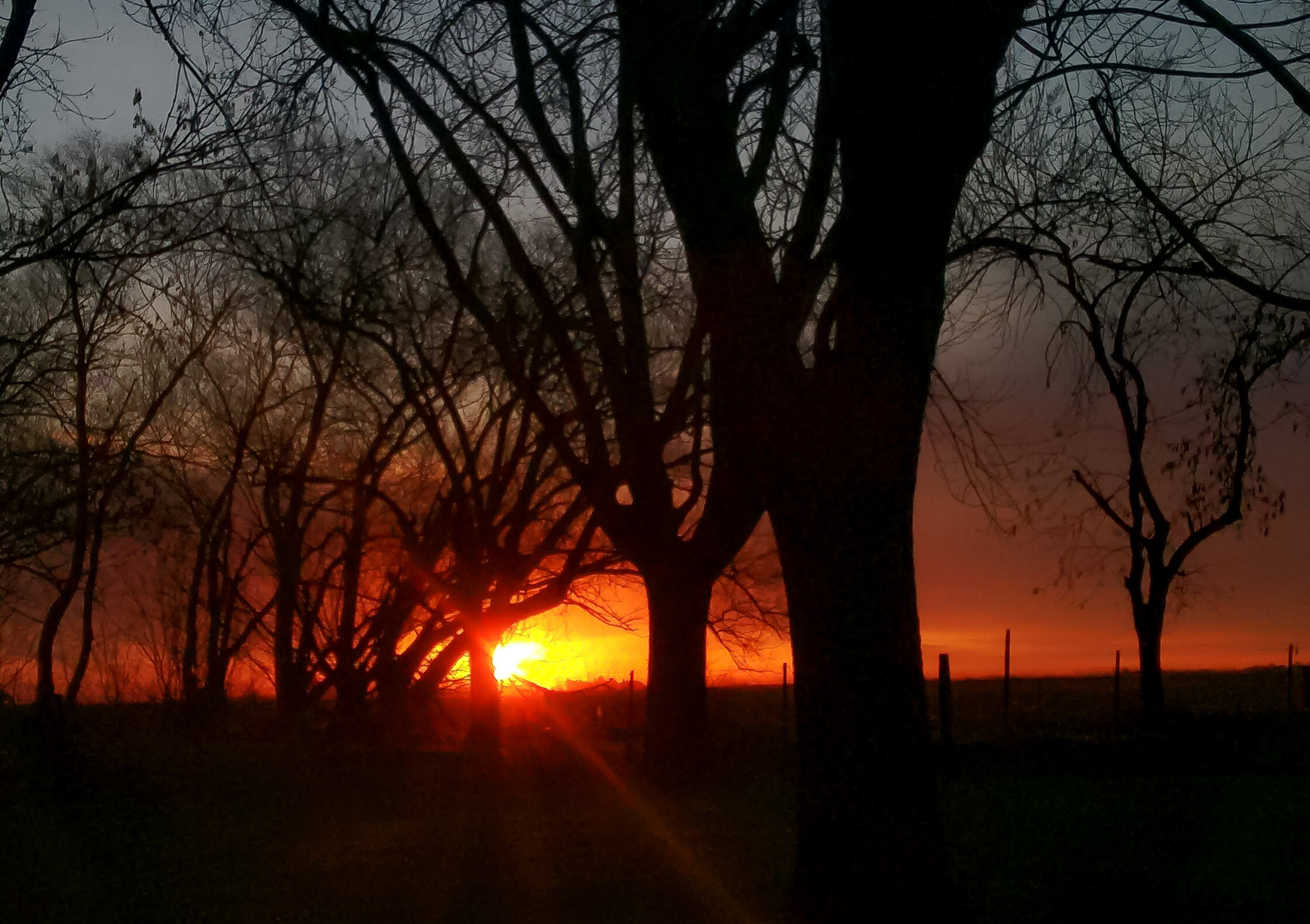 Atardecer de campo