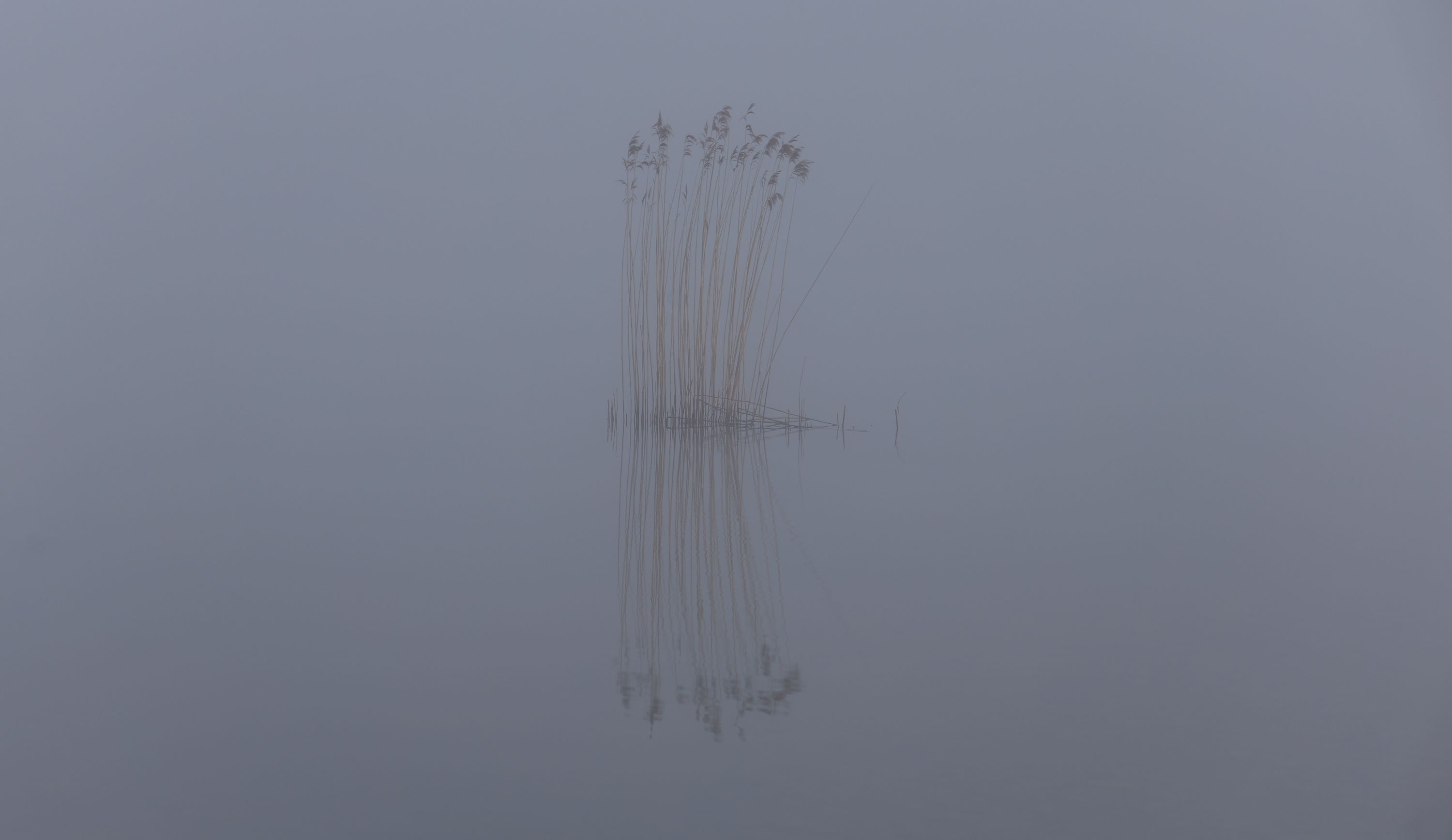 Mlha na jezeře