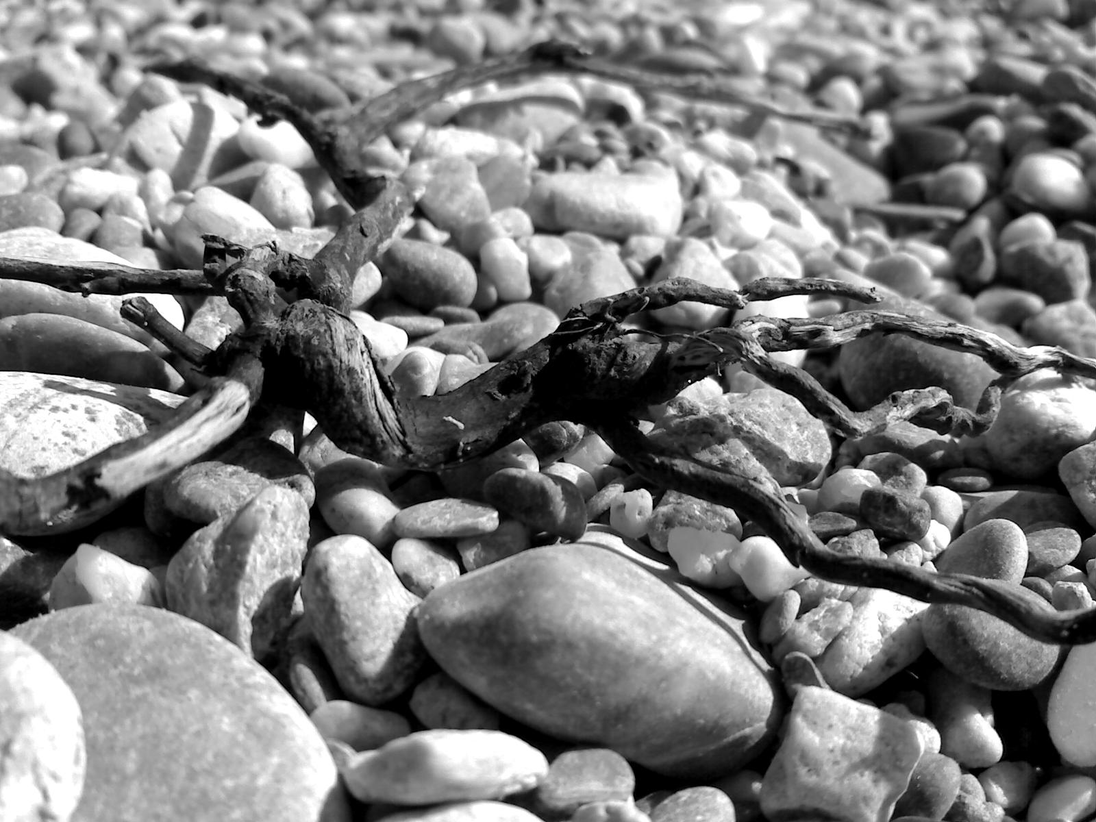 sulla spiaggia