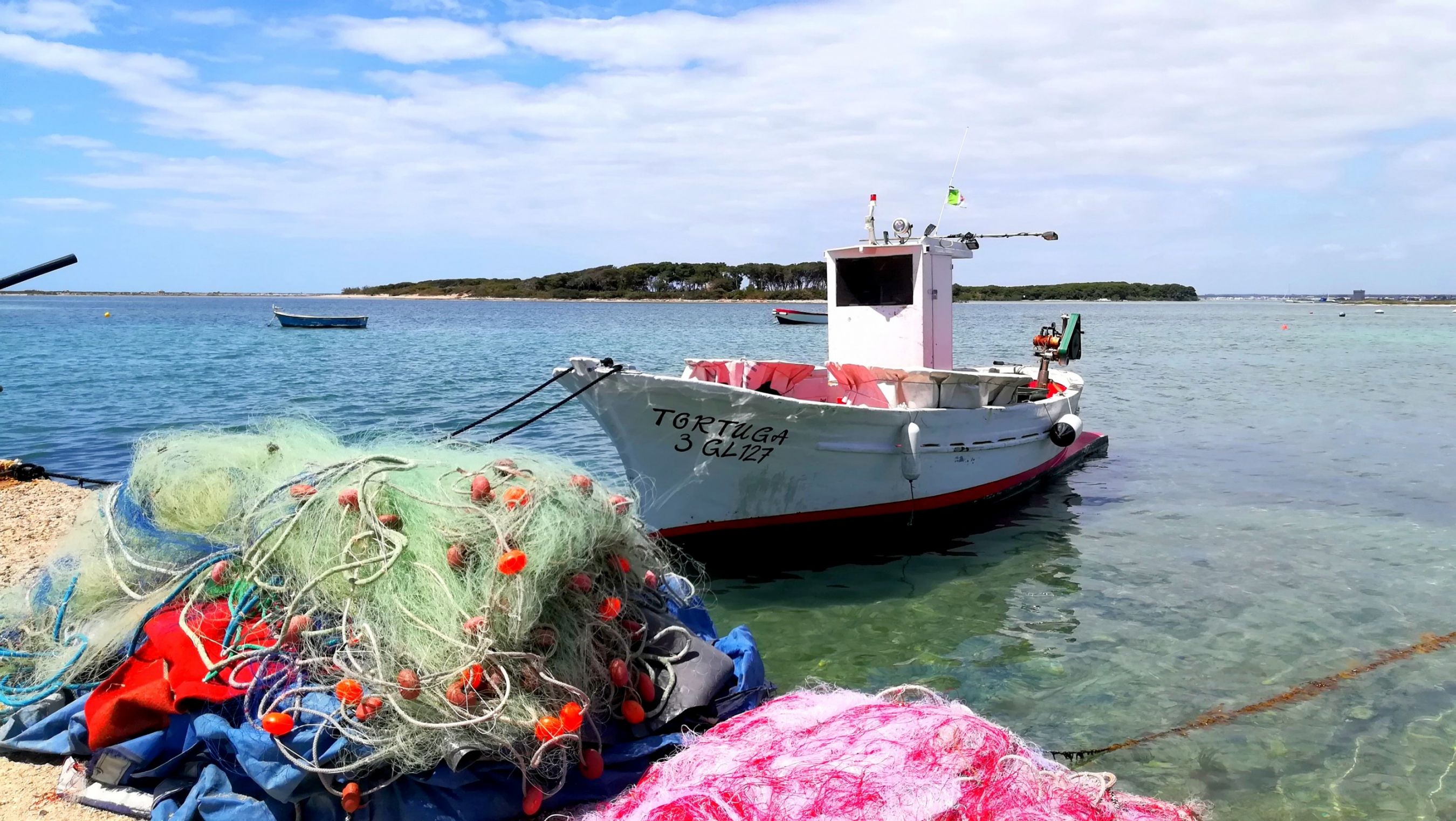 Porto Cesareo l'isola dei conigli