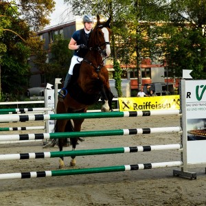 reiten